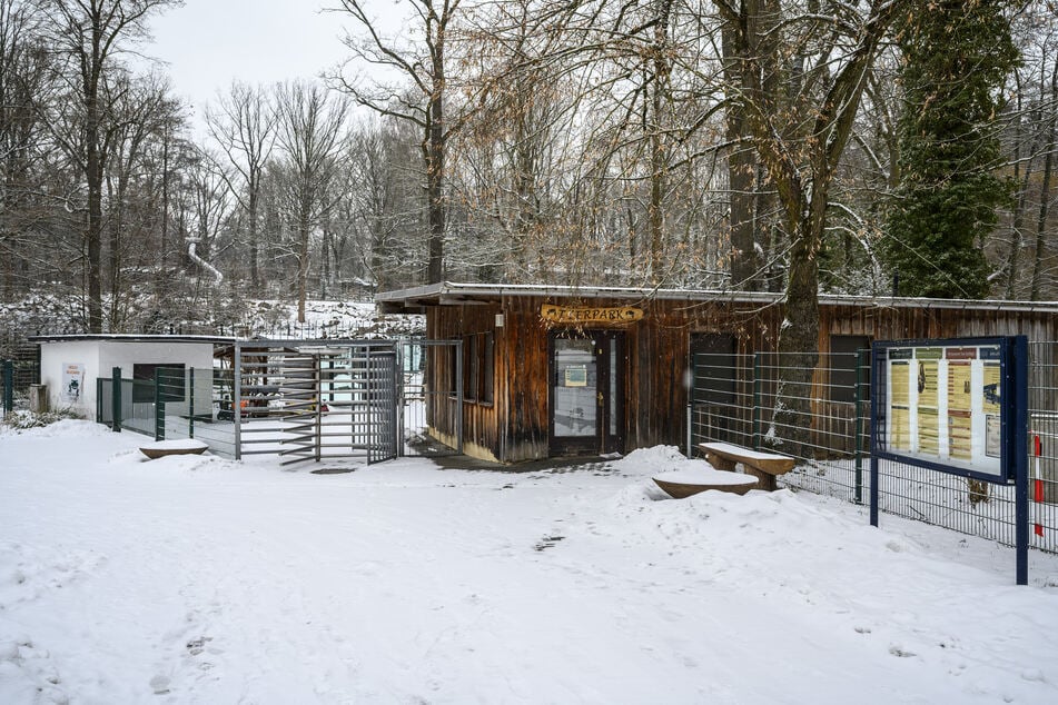 Der Tierpark Chemnitz öffnet am Freitag wieder.