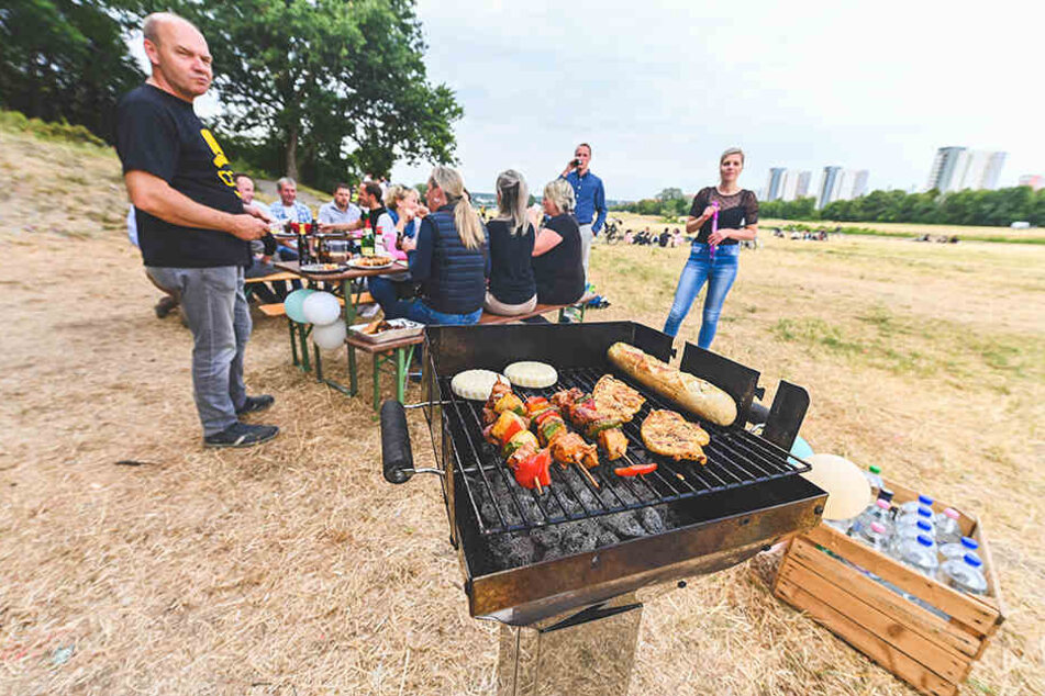 Grillen an der Elbe ist bei Dresdnern sehr beliebt.