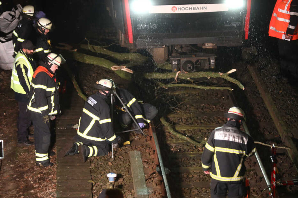 Die Feuerwehr versucht die Bahngleise von einem Ast zu befreien.