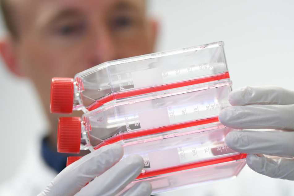 Forscher in Marburg suchen nach einem Impfstoff gegen den Coronavirus.