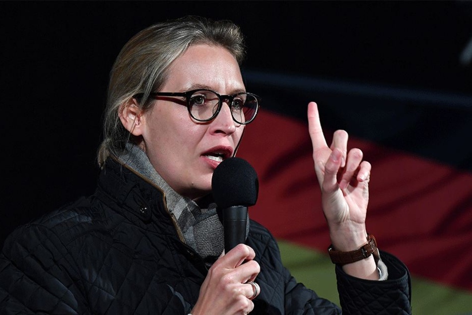 Alice Weidel (38, AfD) steht wieder mal im Mittelpunkt der medialen Aufmerksamkeit.