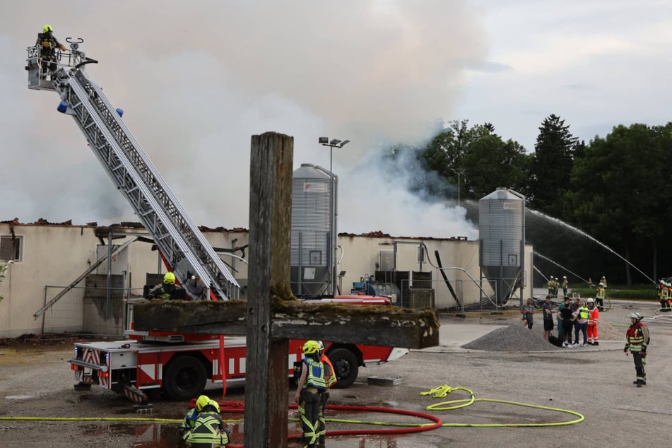 Schweine verenden im Feuer: Millionenschaden bei Stallbrand in Schwaben