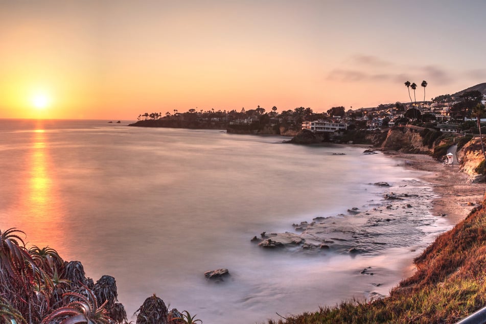 La criatura fue descubierta en la playa de Dana Point.