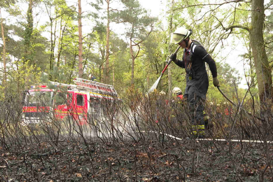 Ein Feuerwehrmann bewässert einen verkohlten Abschnitt in der Fischbeker Heide.