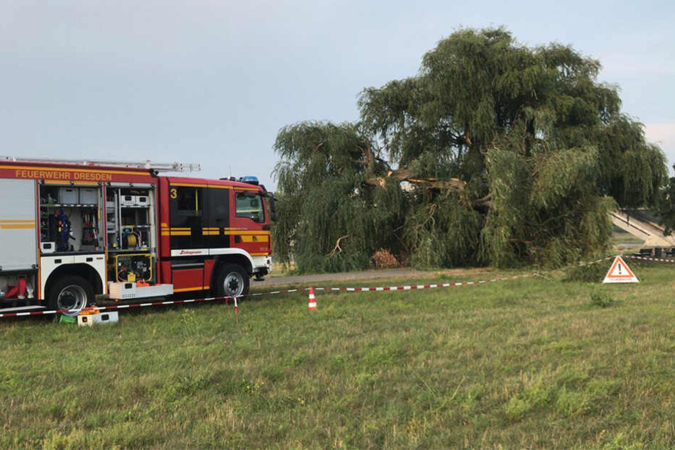 Die Feuerwehr musste auch hier anrücken.