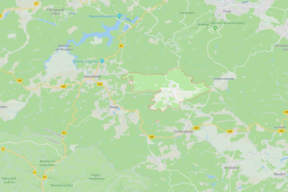 Im etwa 20 Kilometer entfernten Allrode tauchte das Auto wieder auf.