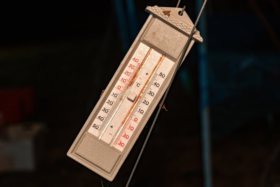 Das Thermometer im Weinberg zeigt minus zehn Grad Celsius an.
