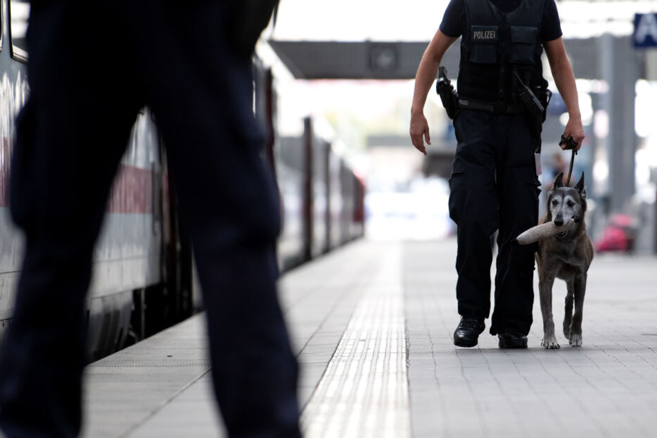 Die Polizei setzte auch zwei Sprengstoffspürhunde ein (Symbolbild).