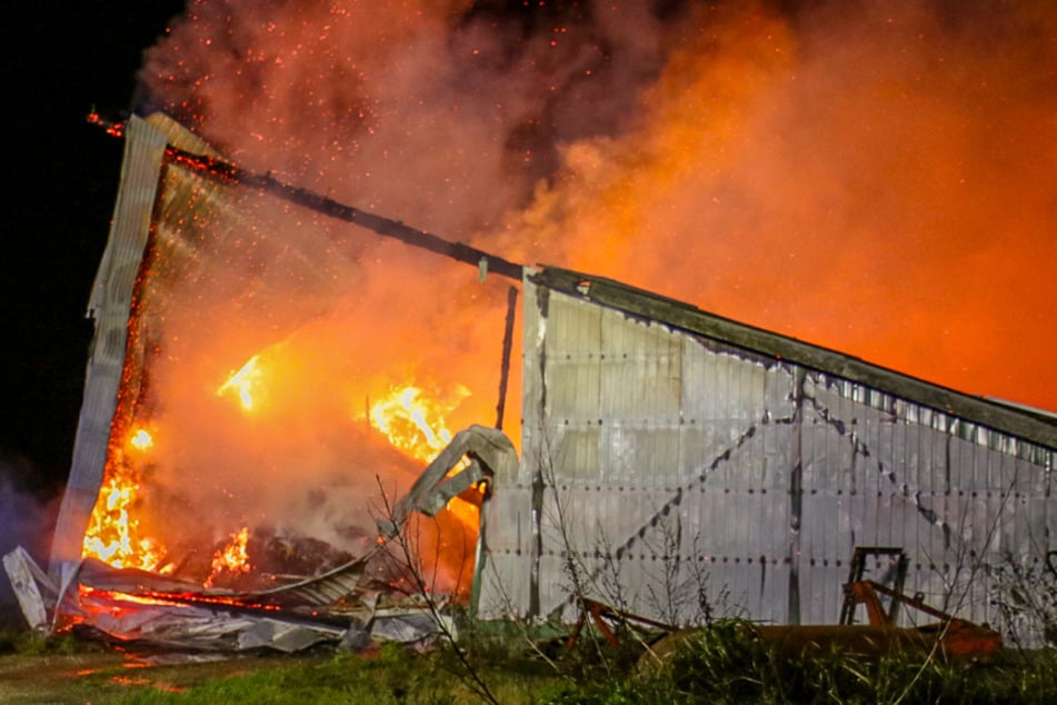 Die Einsatzkräfte kämpften stundenlang gegen die Flammen, für Dutzende Tiere kam jedoch jede Hilfe zu spät.