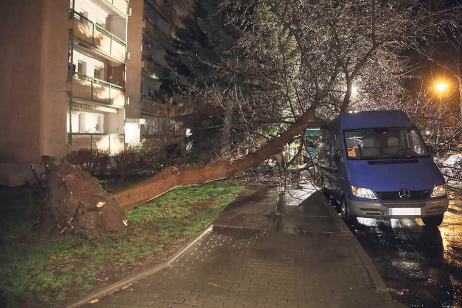 Zum Glück saß in Dresden niemand in dem Auto.