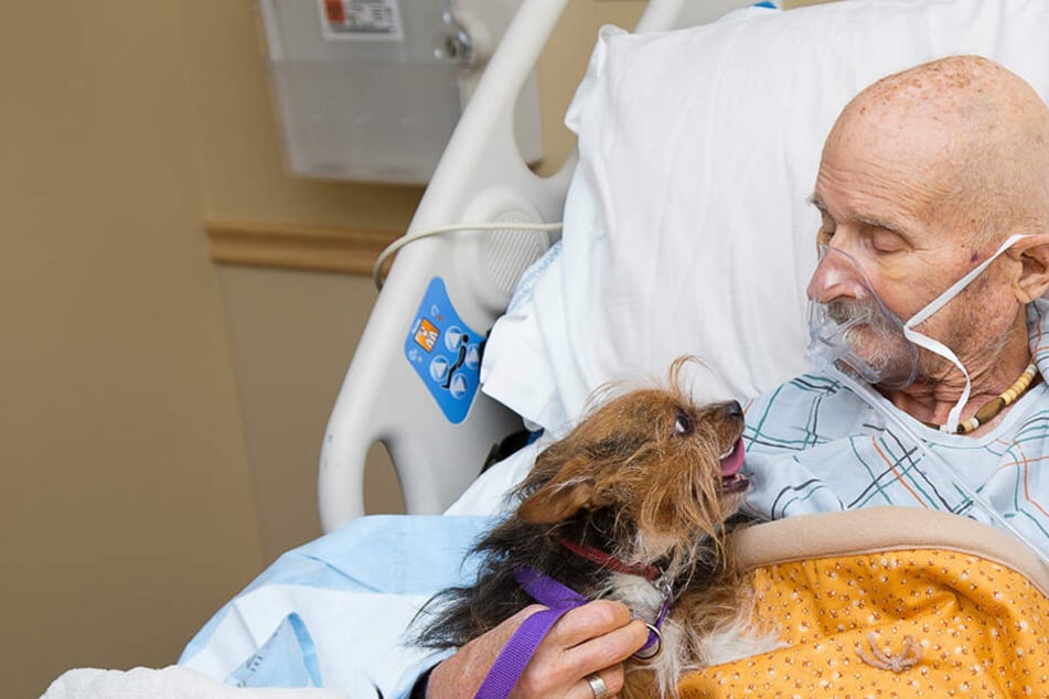 Hier nimmt ein Vietnam-Veteran Abschied von seinem Hund