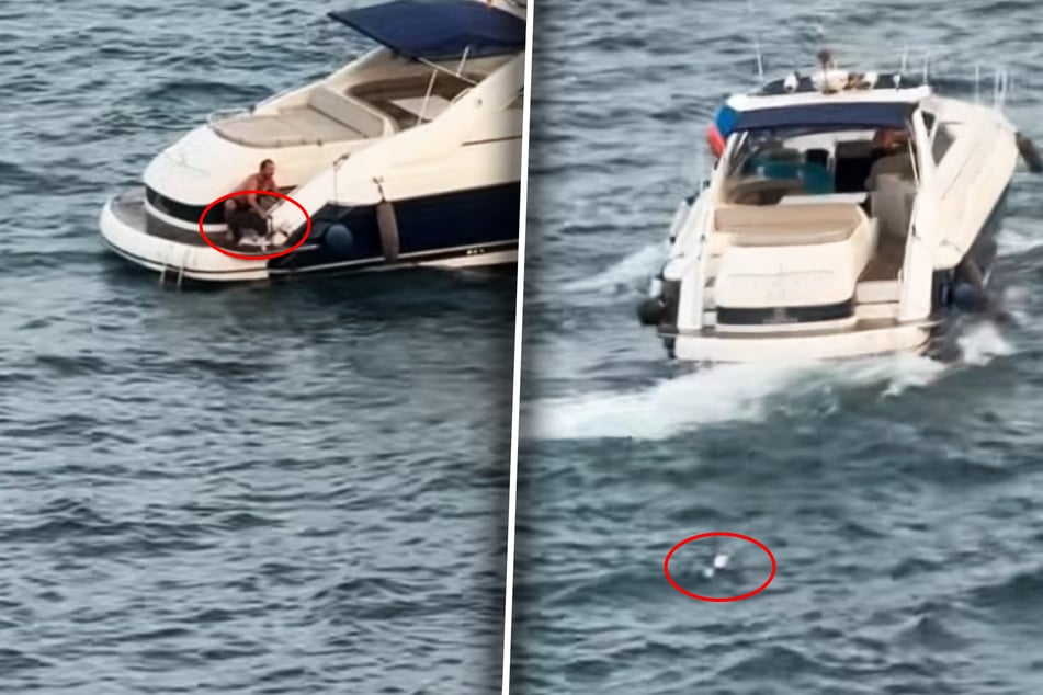 Es sieht grausam aus: Ein Mann wirft den Hund ins Meer, rast dann davon.