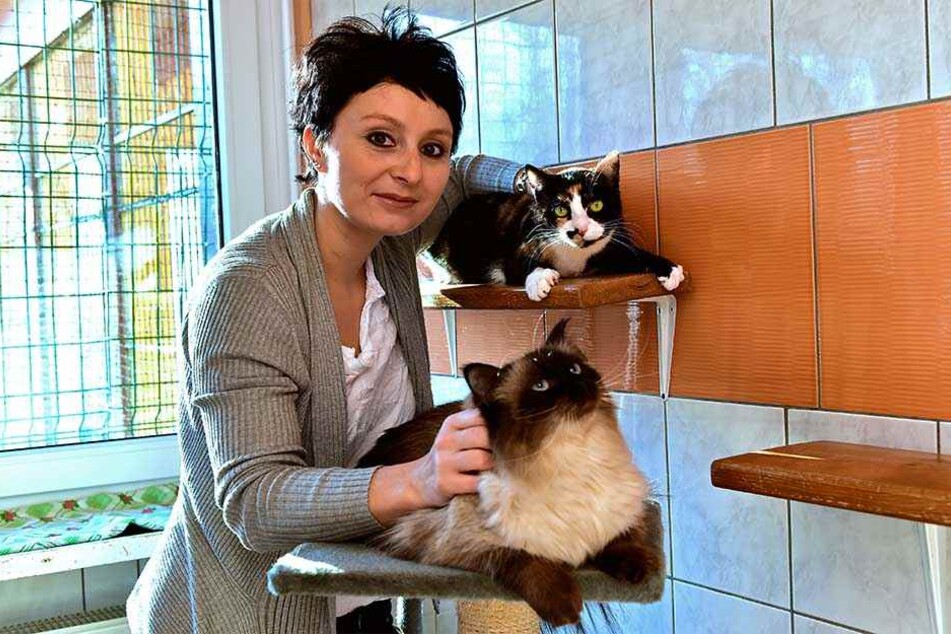 Zum Kuscheln, aber pflegebedürftig: Bei Tierasyl-Leiterin Denise Putsche (37) können Sie Tierpatenschaften übernehmen.