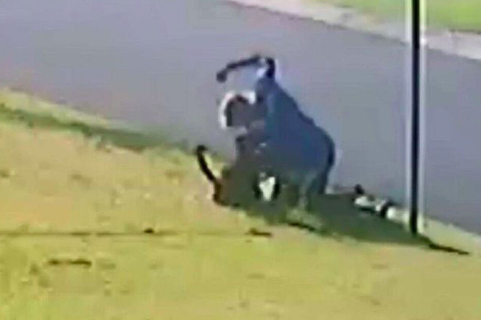 Bilder der Überwachungskamera zeigen den brutalen Angriff.