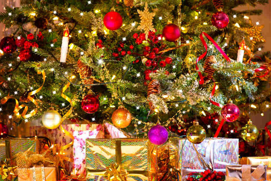 Weihnachtsbaum Mieten Statt Kaufen Eine Nachhaltige Alternative Tag24