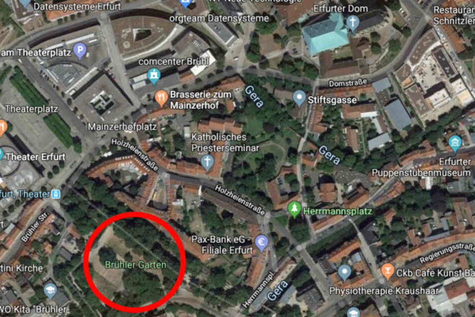 Der Park (roter Kreis) liegt nur einige Straße hinter dem Erfurter Dom (oben rechts) und neben dem Erfurter Theater.
