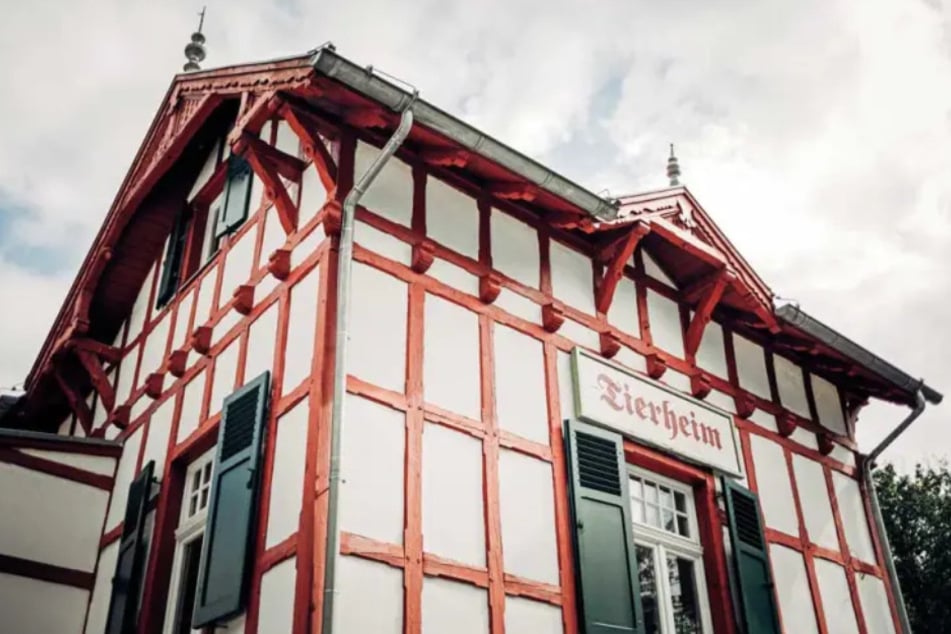 Seit 1969 kümmert sich das Tierheim Dellbrück um die Rettung von Tieren aller Art.