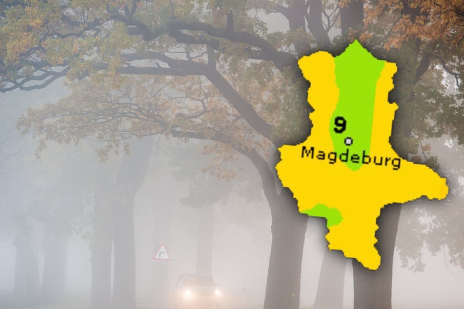 In Sachsen-Anhalt wird am Wochenende viel Nebel erwartet. (Symbolbild)