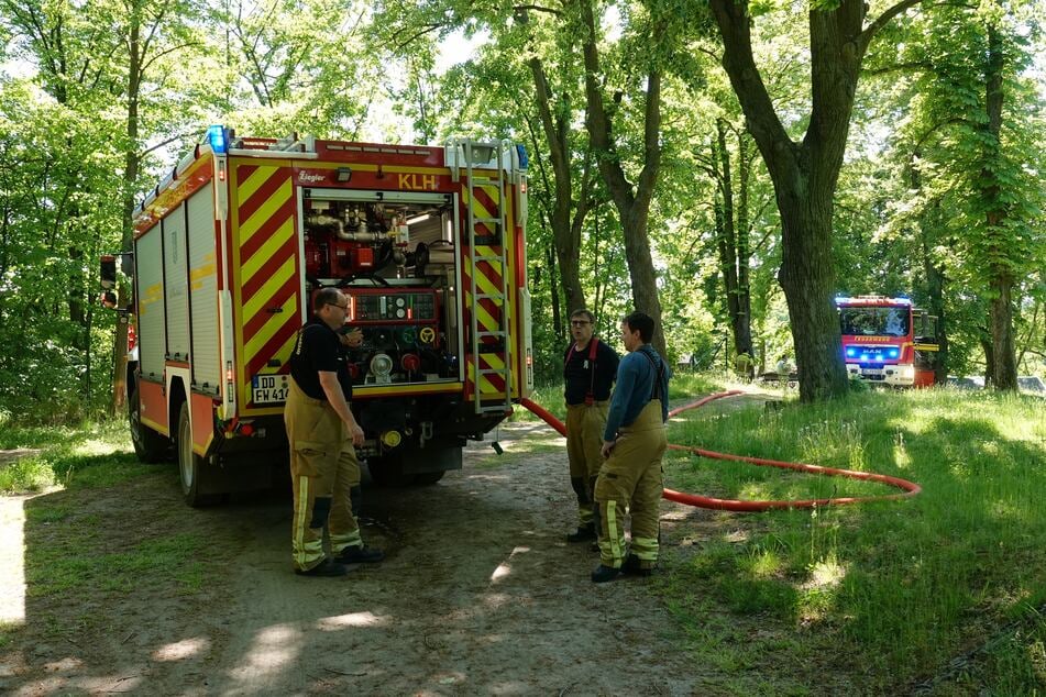 Feuerwehrleute bekämpften den Vegetationsbrand.