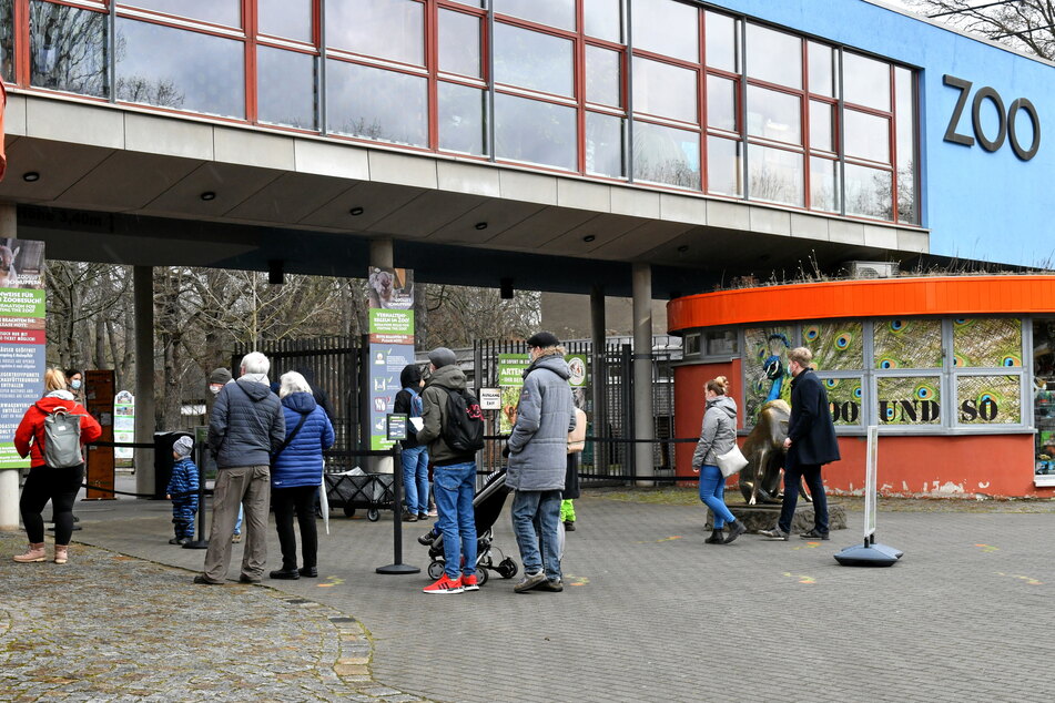 Rund 1200 Besucher kamen am ersten Tag wieder in den Zoo.