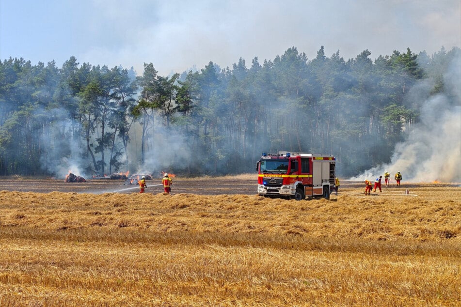 Feuerwehrleute kämpften am Montagnachmittag gegen die Flammen auf einem Feld an.