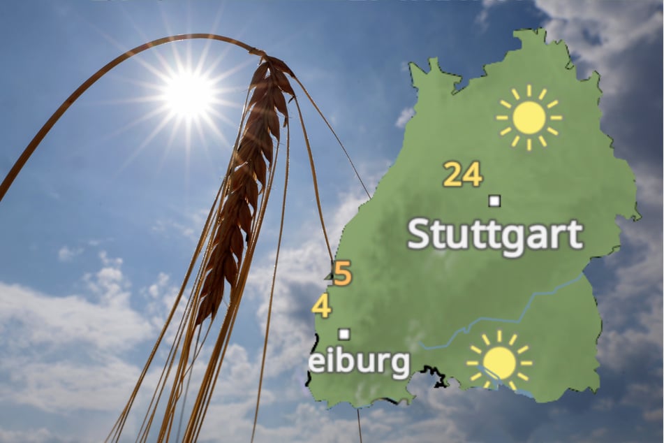 Es wird wieder sommerlicher mit Temperaturen bis 31 Grad in Baden-Württemberg.