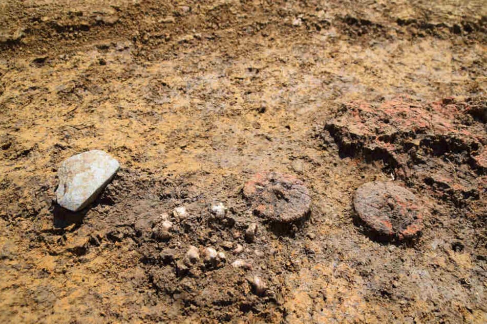 In einem 4000 bis 5000 Jahre alten Grab in Schwaben haben Archäologen zwei Miniräder aus Ton als Grabbeigaben in einem Kindergrab aus der Kupferzeit entdeckt.