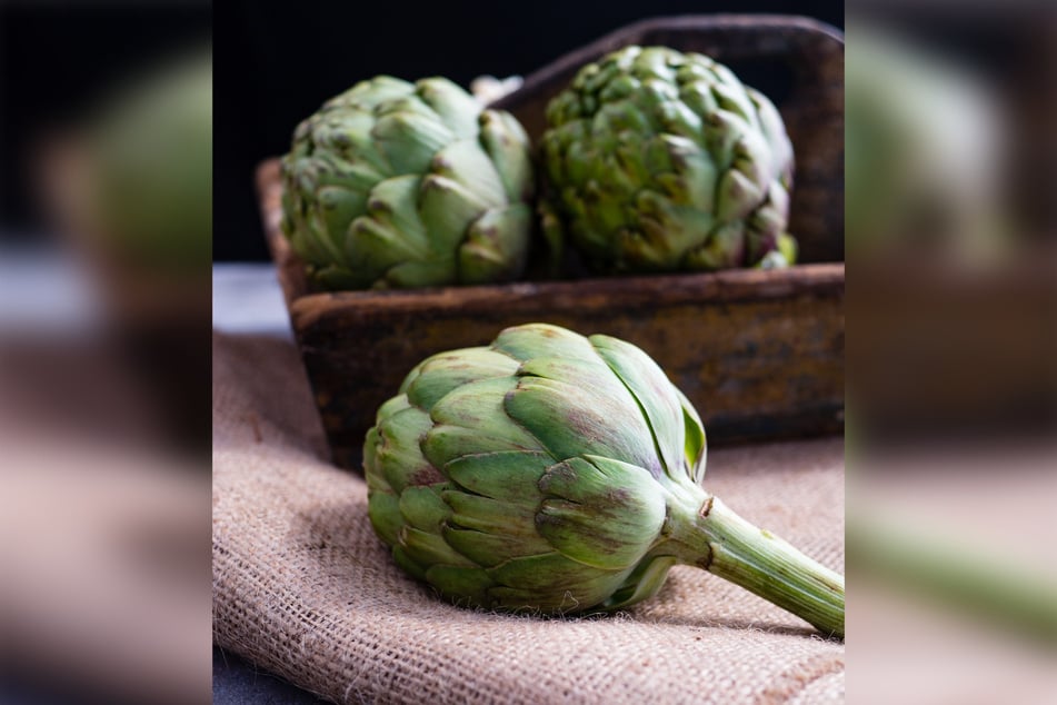 Artichokes are vegetables consisting of the edible flower buds of a thistle plant, and when cooked right, are a tasty treat.