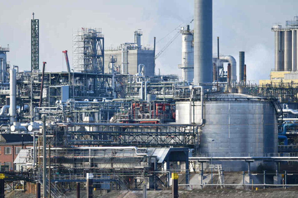 Industrieanlagen des Chemiekonzerns BASF stehen auf dem Werksgelände. (Archivbild)