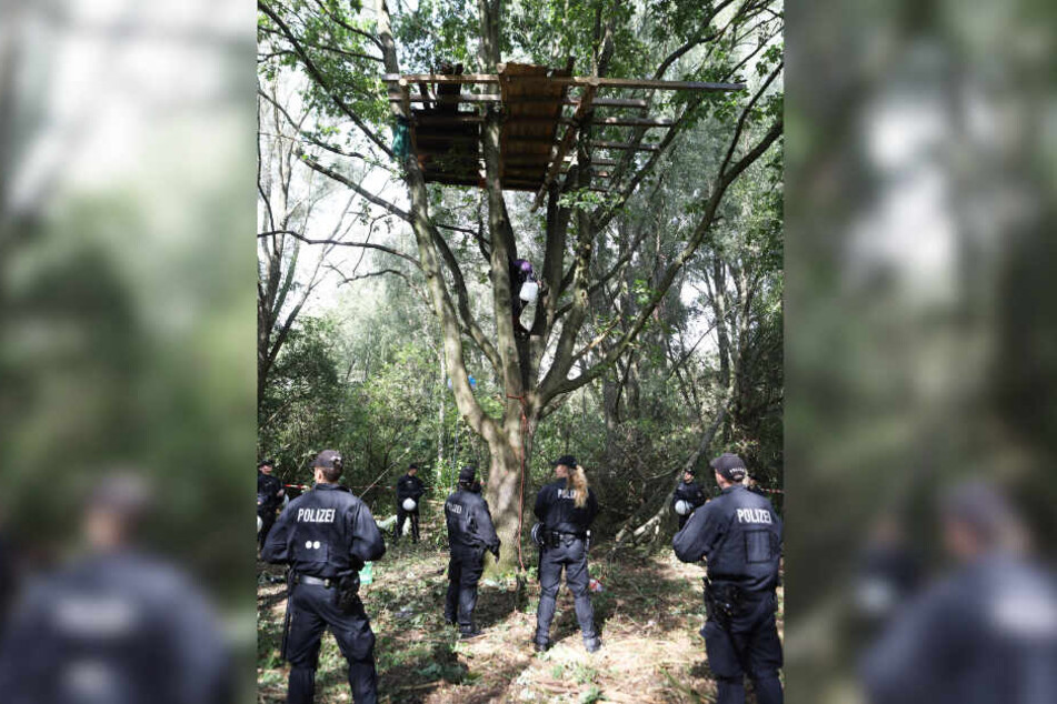 Polizisten haben das Baumhaus umstellt, von dem gerade ein Besetzer runterklettert.