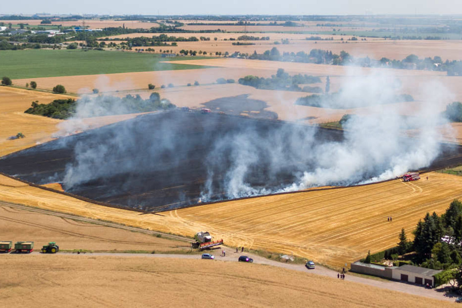 Das abgeerntete Feld im Osten von Halle (Saale) brannte am Freitagnachmittag. Dadurch kam es auf der angrenzenden A14 zu Sichtbehinderungen.