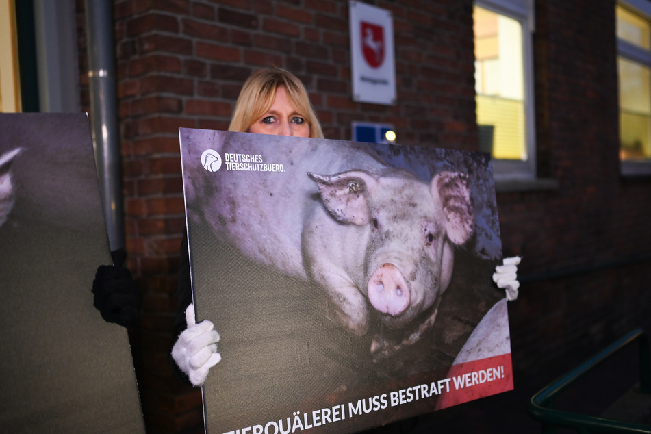 Demonstranten des Deutschen Tierschutzbüros machen vor den Gerichtsgebäuden auf die Tierschutzverstöße von Schweinemastbetrieben aufmerksam. (Symbolfoto)