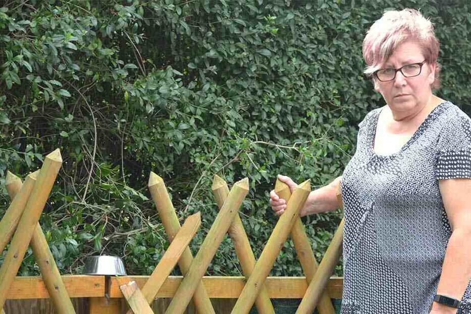 Martina Mucke (55) vermutet, dass die Einbrecher über den Zaun kamen.