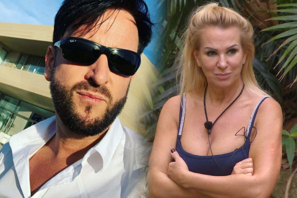Dschungelcamp: Lügt Claudia Norberg schon wieder? Michael Wendler sauer auf seine Ex
