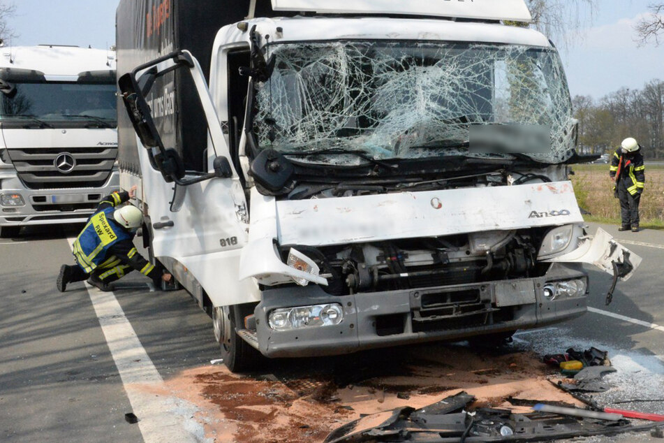 Schlimme Kettenreaktion: Lkw-Fahrer bremst für Entenfamilie, zwei Laster können nicht mehr reagieren