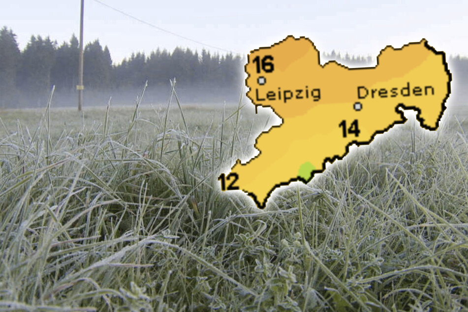Frost und Nebel angesagt: Bleibt das Schmuddelwetter in Sachsen?