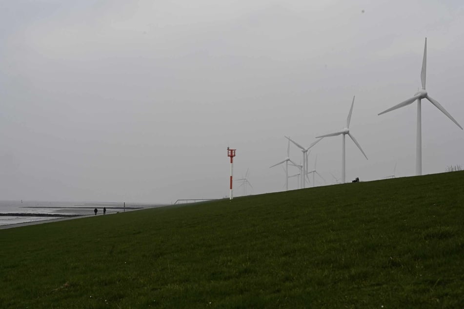 Der Windpark Rysumer Nacken. Elf Menschen wurden beim Gasaustritt an einem Deich in Ostfriesland verletzt. (Archivbild)