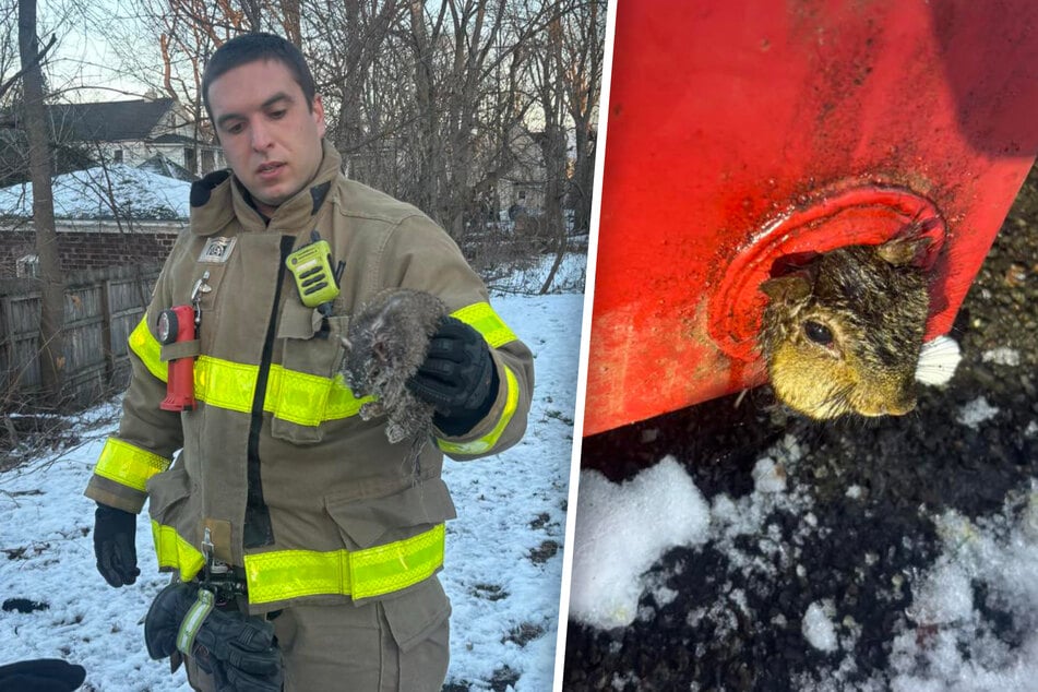 S velkým citem zachraňuje hasiči bezbranného veverku.