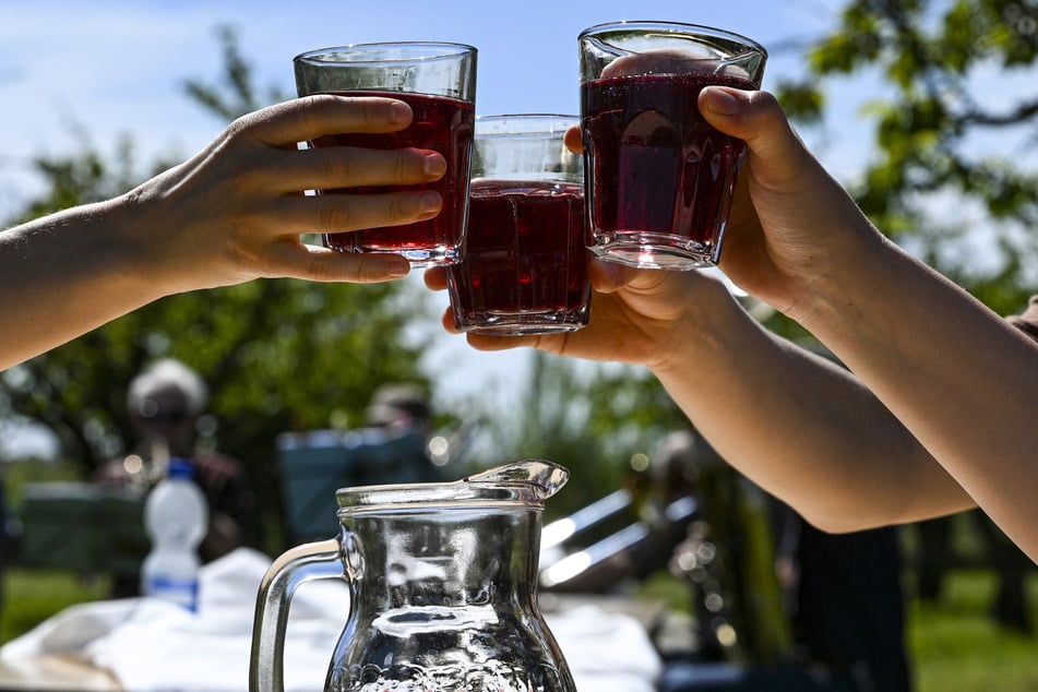 Baumblütenfest in Werder: Los ging es mit hausgemachten Weinen im Grünen