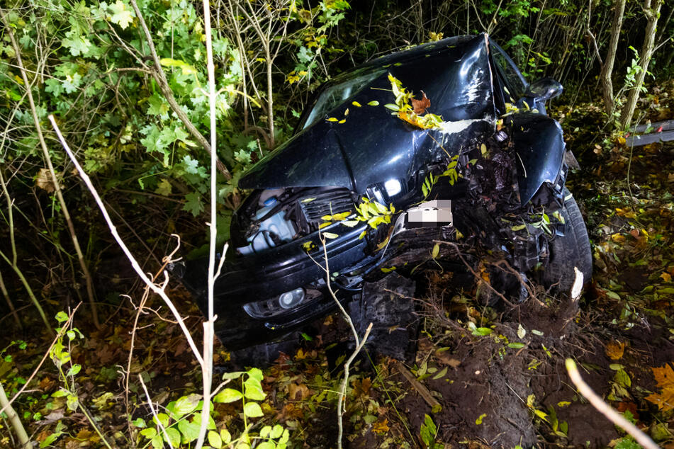 Auto weicht Wildtier aus und knallt gegen Baum: Fünf Schwerverletzte