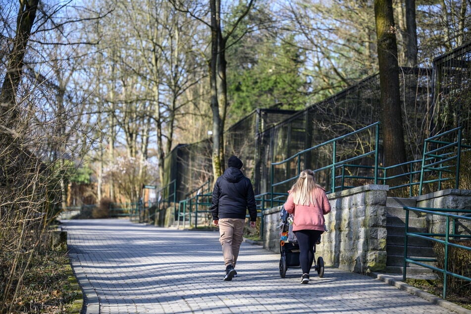 Ab Januar gibt es im Chemnitzer Tierpark wahrscheinlich nur noch die "große Familienkarte" (27 Euro für Eltern mit Kindern).