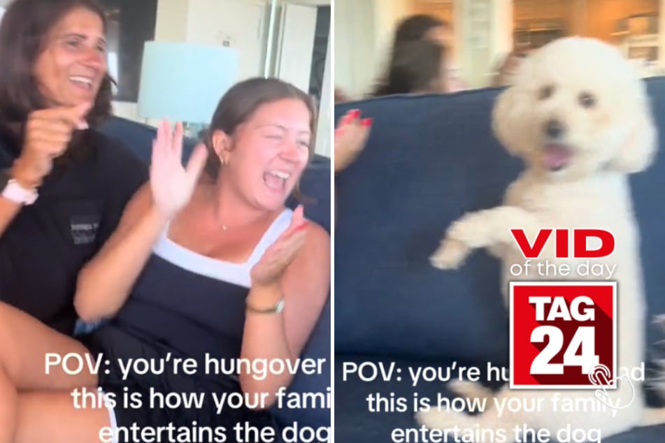 viral videos: Viral Video of the Day for July 7, 2024: Pup gets insanely excited when family claps for him!