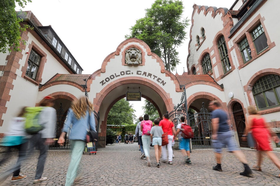 Neugierige Gäste auf dem Weg in den Leipziger Zoo - Sachsen hatte im ersten Quartal ein Besucherplus.