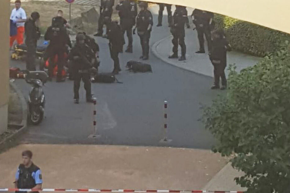 Zahlreiche Polizisten sind in der Trauchauer Straße im Einsatz.