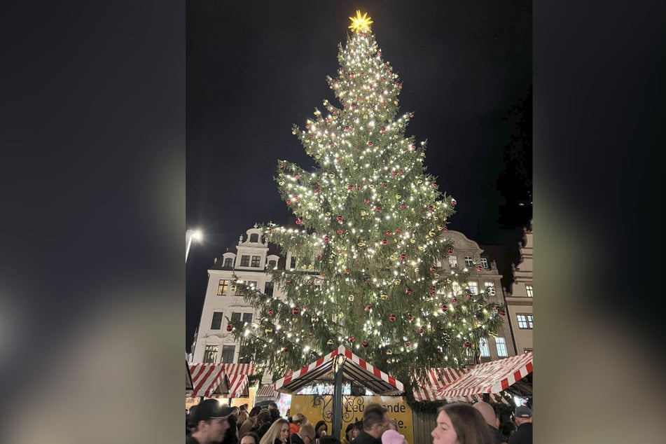 Der Leipziger Weihnachtsbaum ist eine 60 Jahre alte und 20 Meter hohe Fichte aus Zwota bei Klingenthal und wurde am Dienstag erleuchtet.