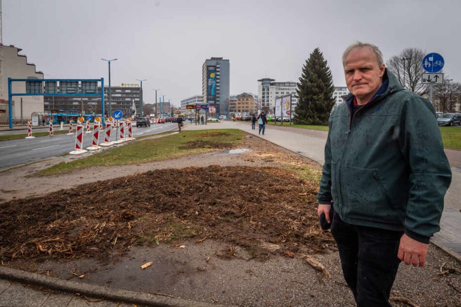 Bernhard Herrmann (54, Grüne) vor den Baumresten an der Bahnhofsstraße.
