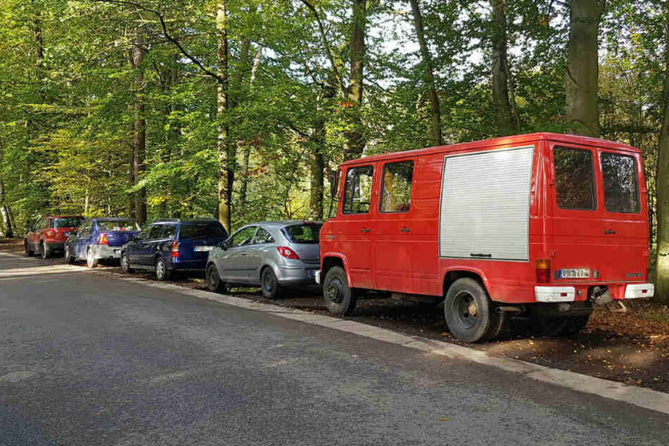 Andrang am Waldesrand: Wegen der Schwamme-Schwemme werden selbst Wege und Holzlagerplätze zugeparkt.