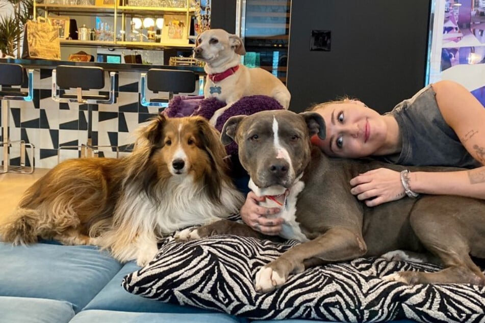Miley Cyrus is head over heels in love with her dog family.