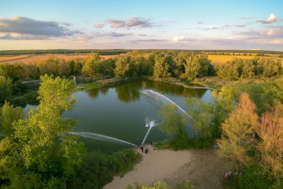 Die lebenden Fische schwammen zu dem Frischwasser, sie konnten gerettet werden.