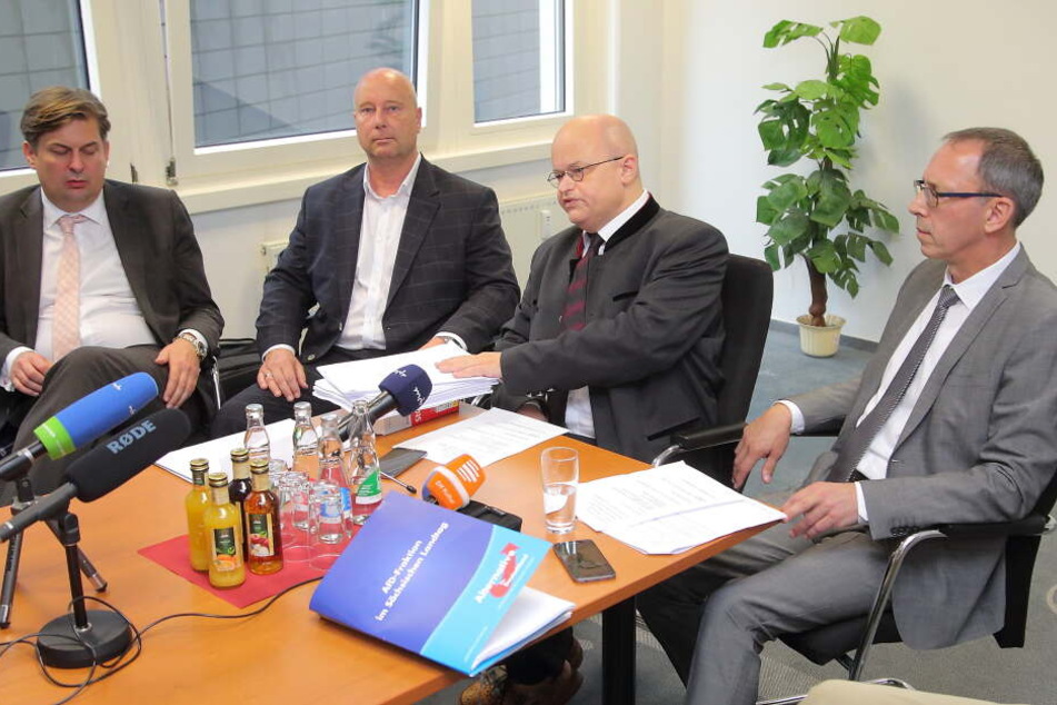 Maximilian Krah (links), AfD-Generalsekretär Jan Zwerg (2.v.l.), Prof. Michael Elicker aus Saarbrücken (2.v.r.) und Landeschef Jörg Urban (rechts).